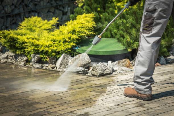 Best Roof Cleaning and Mildew Removal in Coeburn, VA